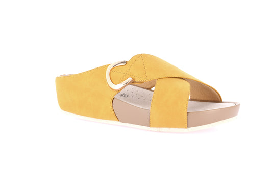 DIRA CI1580 GIALLO