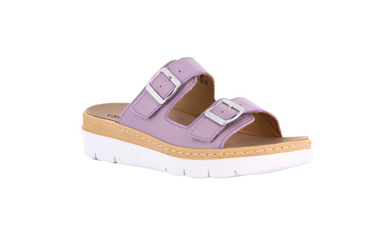 MOLL CE0241 GLICINE