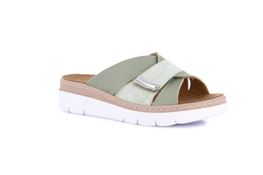 MOLL CE0459 MENTA