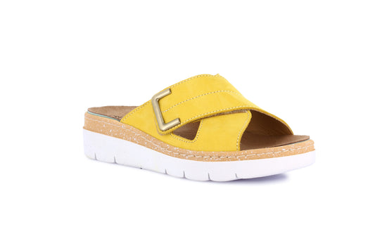 MOLL CE0855 GIALLO