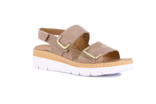 MOLL SE0450 CORDA