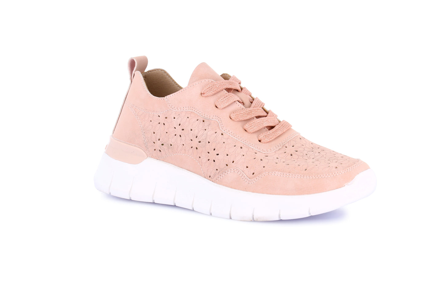SACE SC0195 CIPRIA