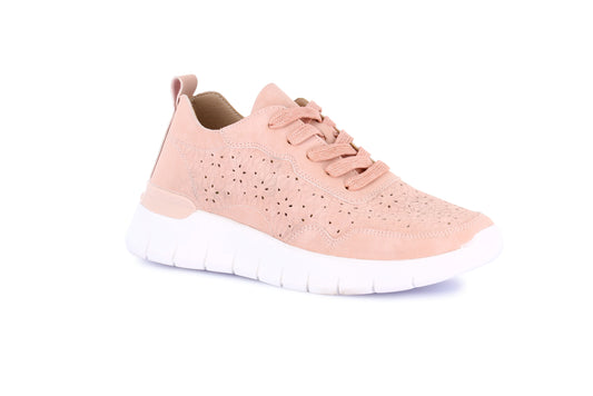 SACE SC0195 CIPRIA