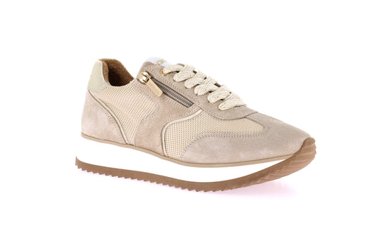 SALT SC2162 BEIGE