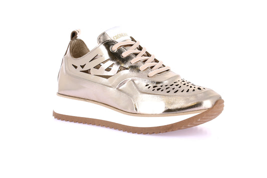 SALT SC2164 BRONZO