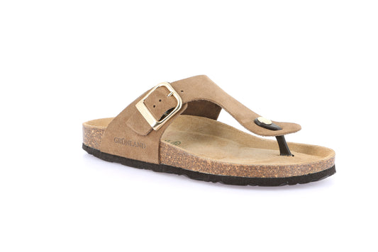 SARA CC2632 TORTORA